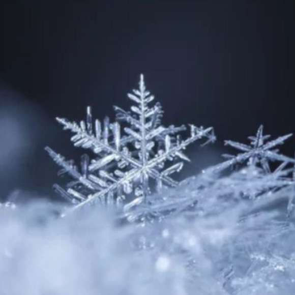 Meet your Posher, Rob - Picture 1 of 1